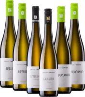 Bestsellery vinařství Winter - 6x balíček seznámení