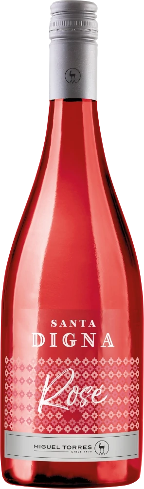 Vorschau: Ring of Wines – Chilský bestseller 6× objevný balíček
