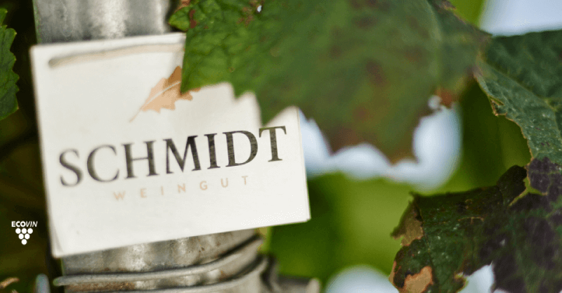 Ekologické vinařství Schmidt víno Ekologické vinařství Schmidt víno
