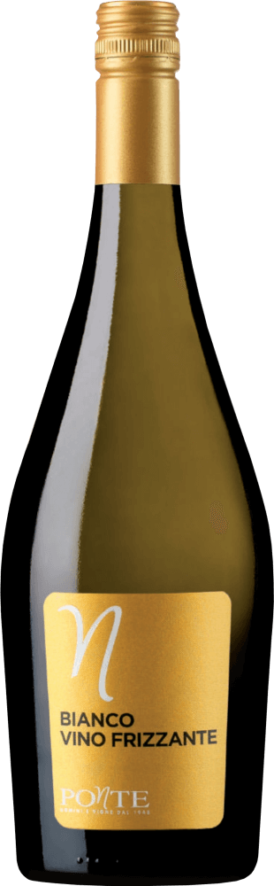 Vorschau: 6er Vorteils-Weinpaket - Bianco Frizzante - Ponte
