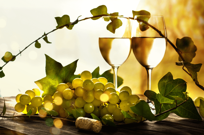 Sauvignon Blanc ve sklenici Sauvignon Blanc ve sklenici