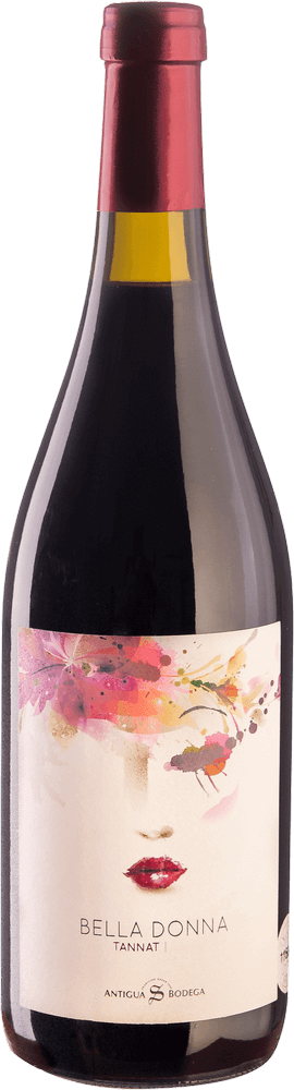 Vorschau: balení 6 odrůd - Best of Tannat Uruguay