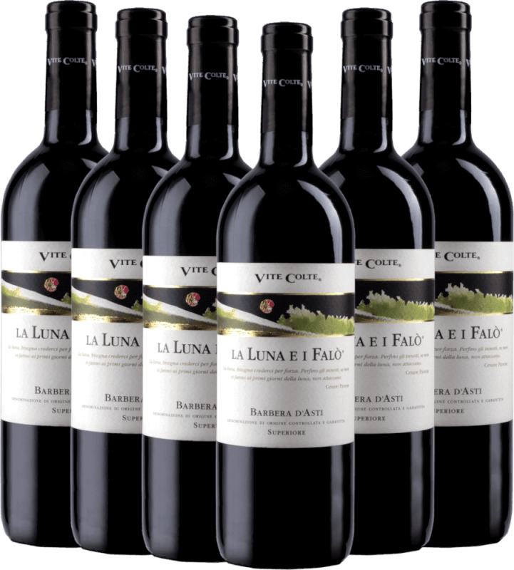 6er Vorteils-Weinpaket - La Luna e I Falo Barbera d'Asti Superiore DOCG - Vite Colte