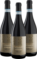 Vorschau: San Silvestro Appassimento Passito Piemonte Barbera DOC - Sartirano 3er Vorteilspaket