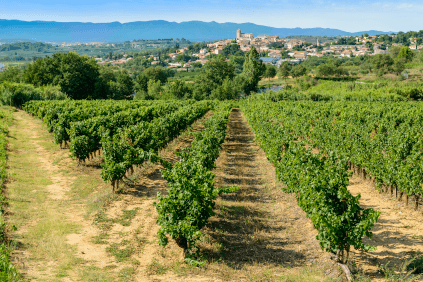 alt= Languedoc
