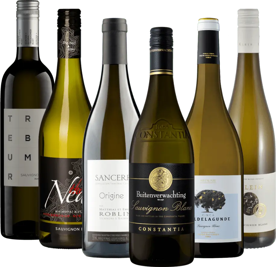 Naše bestsellery Sauvignon Blanc