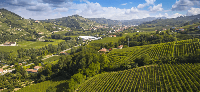 Region – součást světového dědictví UNESCO Vinařství