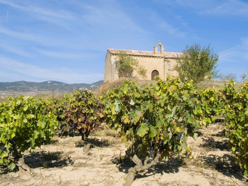 Vinařství Bodegas Taron Vinařství Bodegas Taron