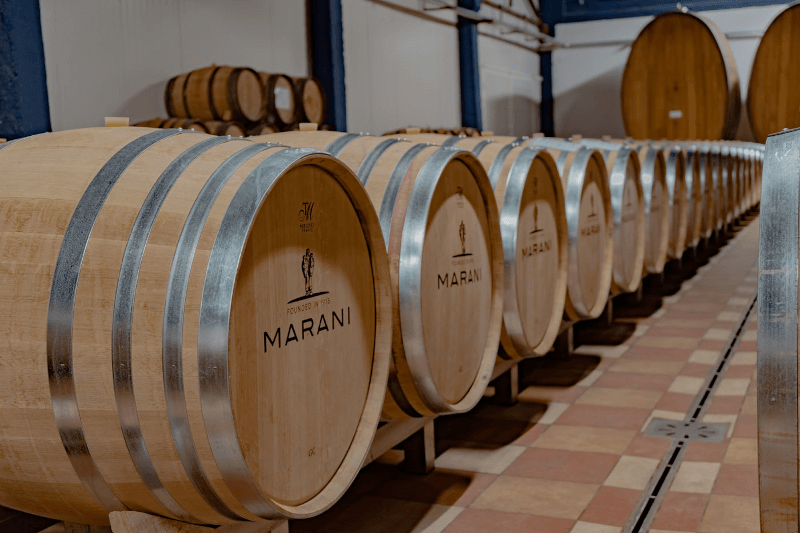 Marani Telavi Wine Cellar Sudy Marani Telavi Wine Cellar Sudy
