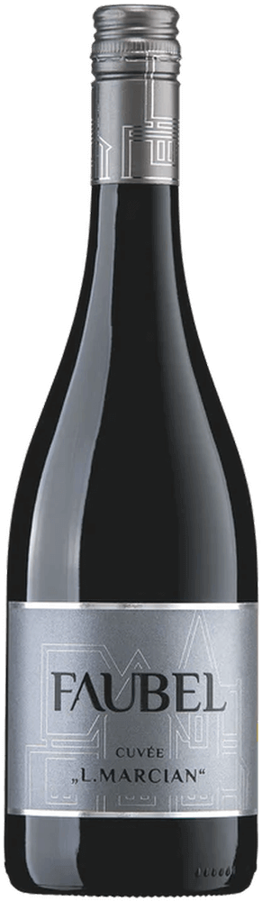 Vorschau: Báječná vína z Weingut Faubel - 6x degustační balíček