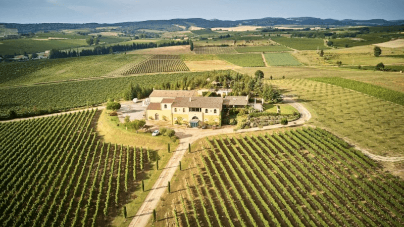 Domaine Gayda shora Domaine Gayda shora