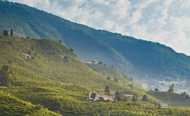 Die Hügel der Prosecco-Region Die Hügel der Prosecco-Region
