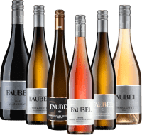 Báječná vína z Weingut Faubel - 6x degustační balíček