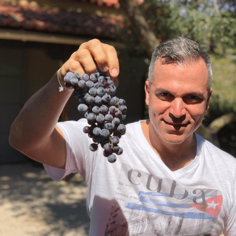 Oenops Wines Winzer