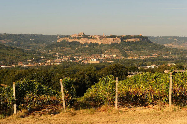 Panorama Orvieta Panorama Orvieta
